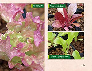 Si新書]身近な野菜の奇妙な話 | SBクリエイティブ