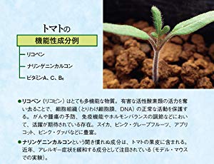 Si新書]身近な野菜の奇妙な話 | SBクリエイティブ