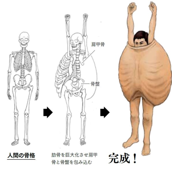 カメの甲羅はあばら骨 SBクリエイティブ