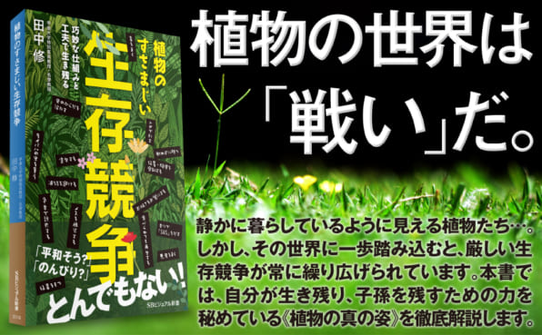 植物のすさまじい生存競争 Sbクリエイティブ