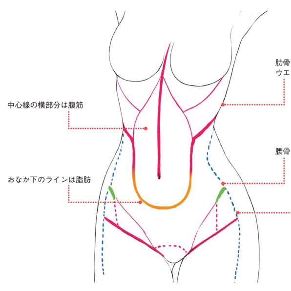 Mignonがしっかり教える 肌塗り の秘訣 Sbクリエイティブ