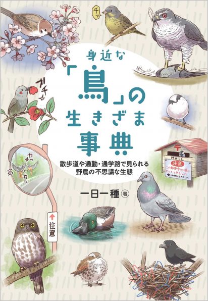 身近な 鳥 の生きざま事典 Sbクリエイティブ 身近な 鳥 の生きざま事典 Sbクリエイティブ