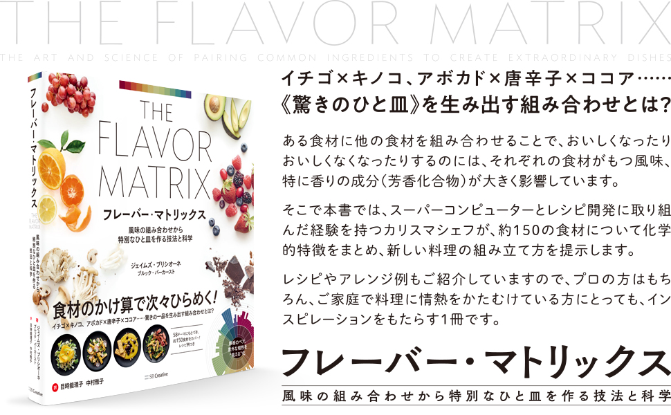 フレーバー・マトリックス | SBクリエイティブ