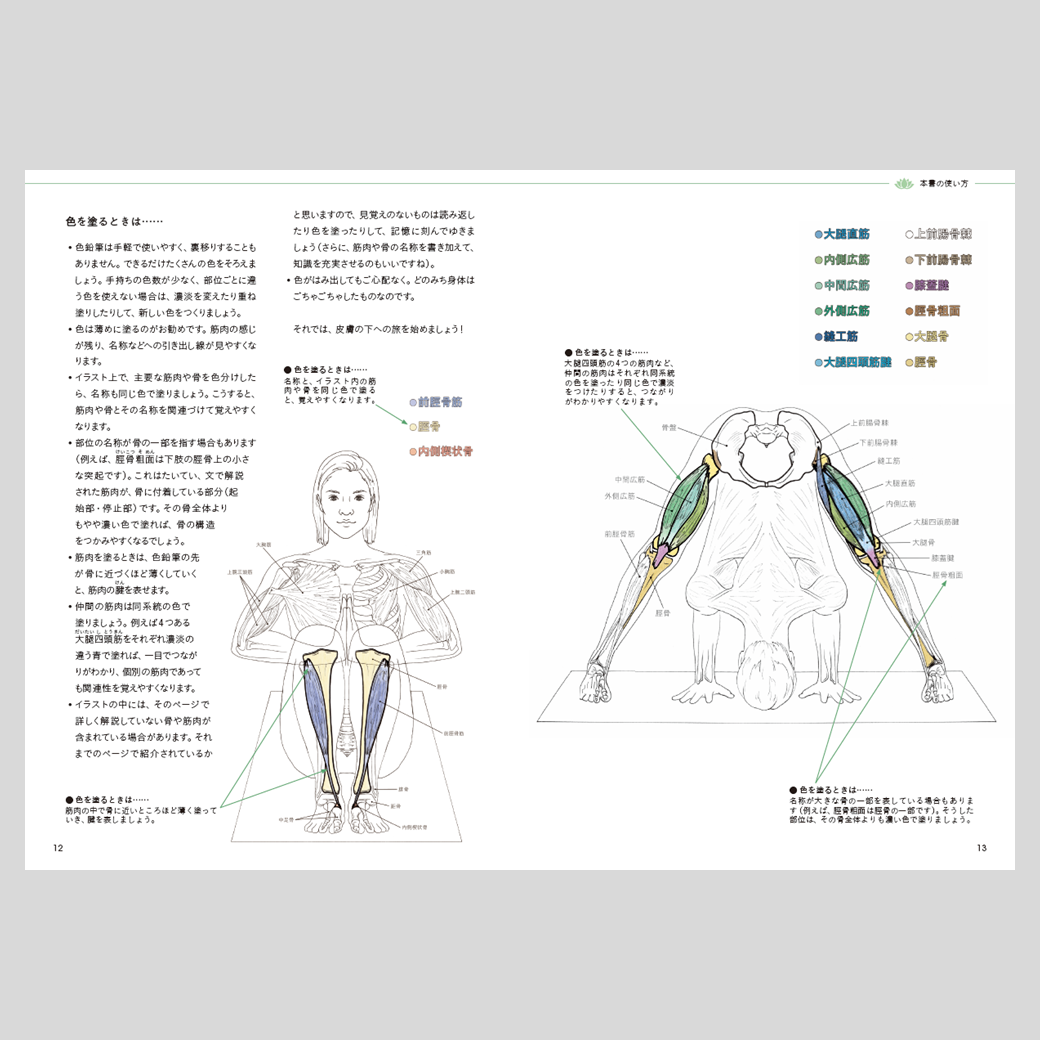 部位別にわかるヨガ解剖学ノート Sbクリエイティブ