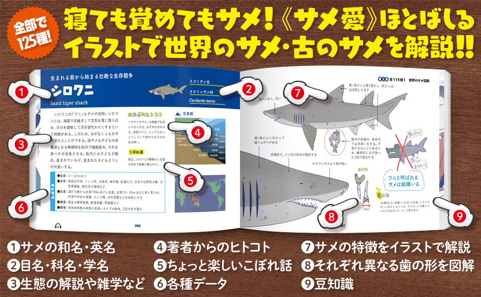 世界のサメ大全 Sbクリエイティブ