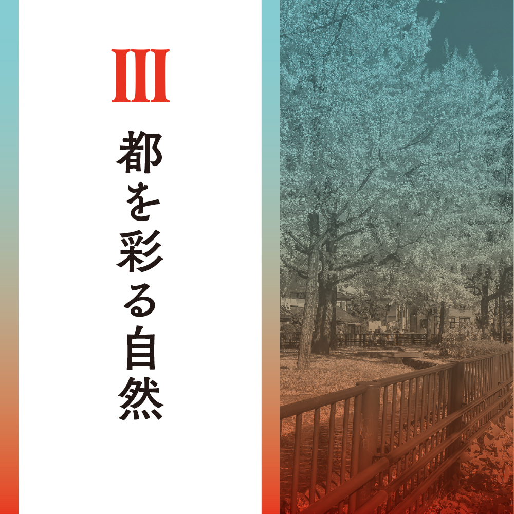 ほんとうの京都 | SBクリエイティブ