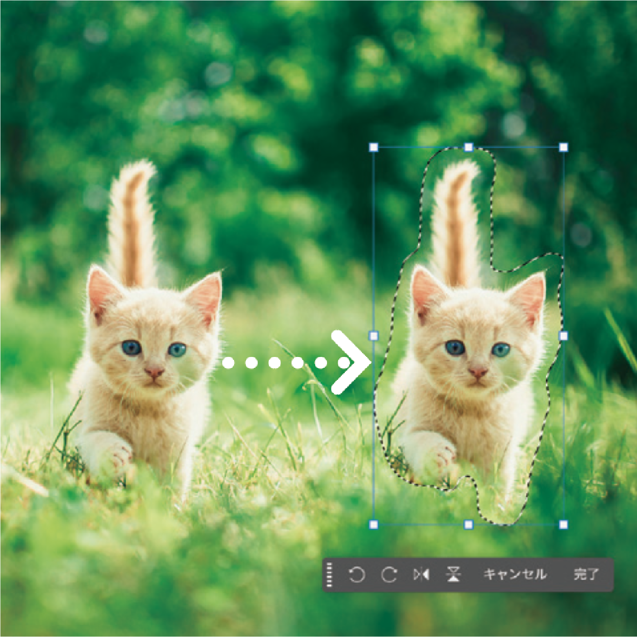 1冊ですべて身につくPhotoshop入門講座 | SBクリエイティブ